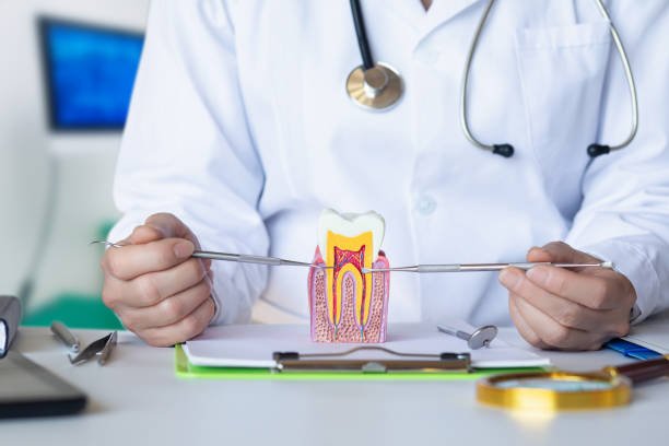 Best Cosmetic Emergency Dentistry in Bowling Green, MO
